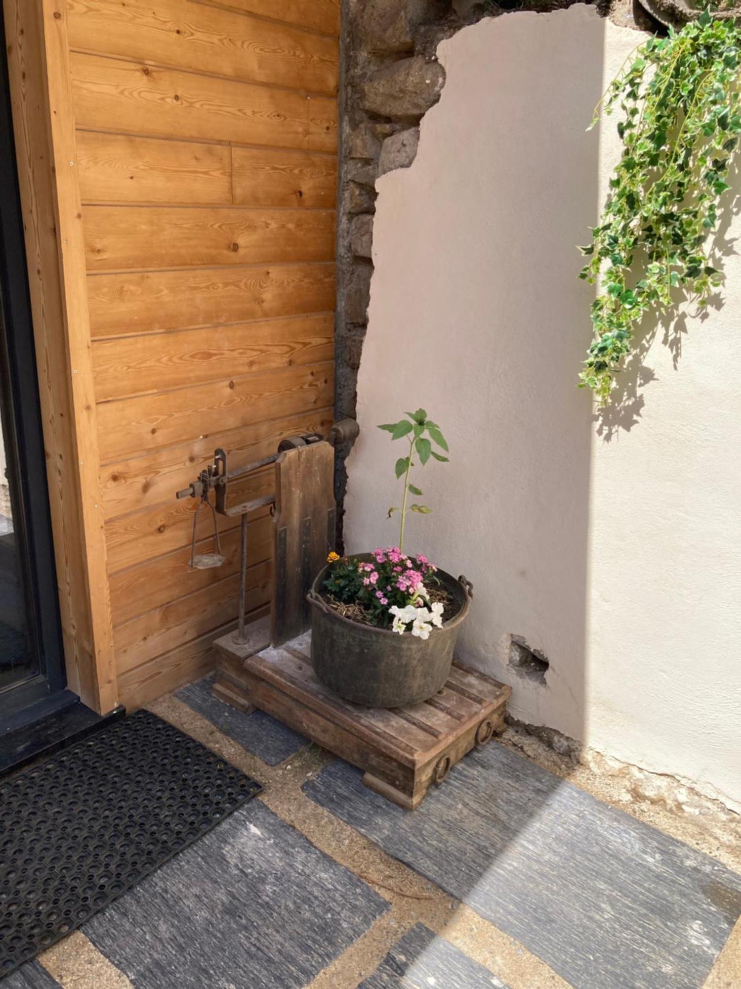 Chalet Melba Le Clos Des Ours Matemale Exterior photo